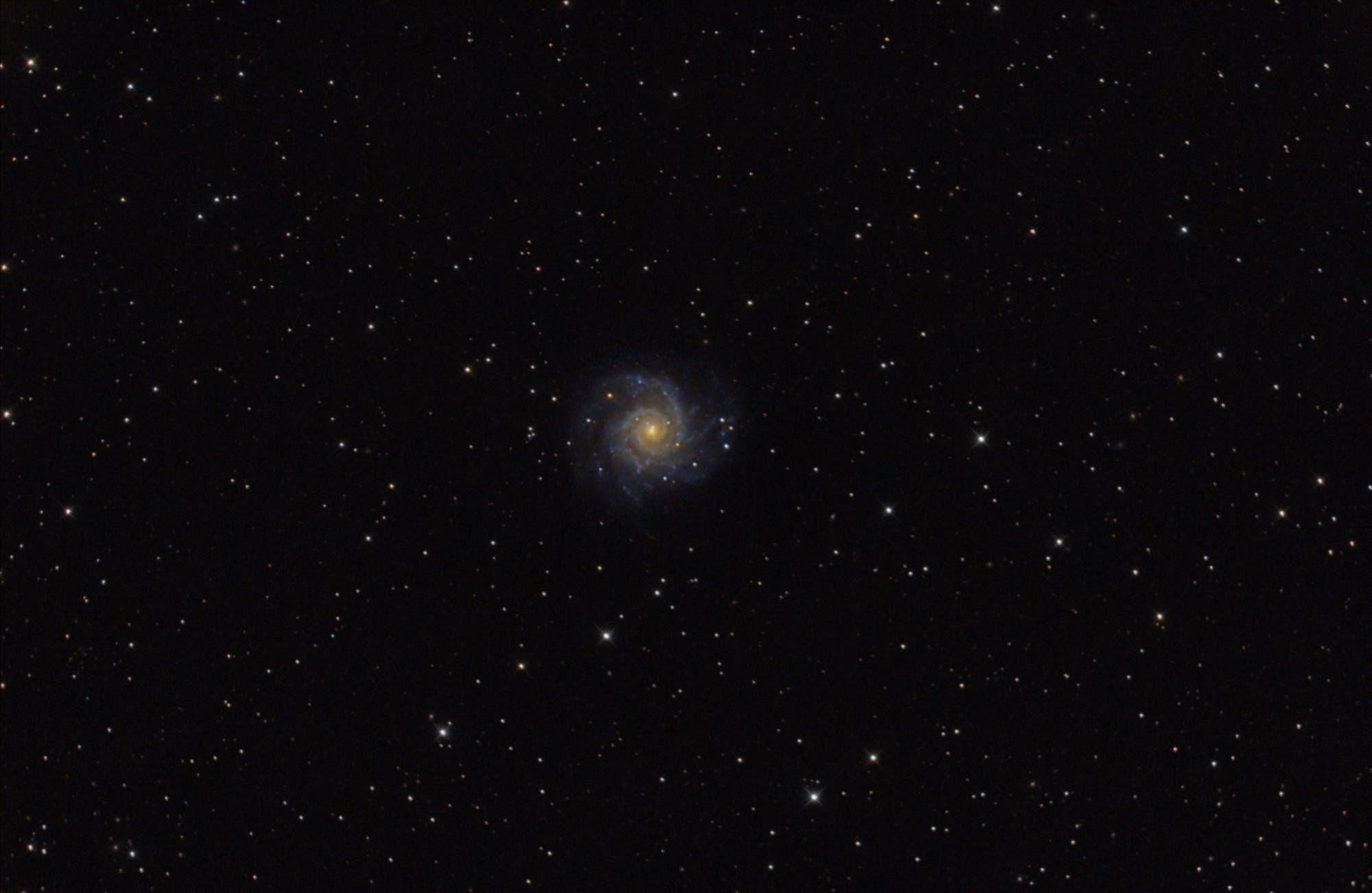 Messier 74 Spektrum der Wissenschaft